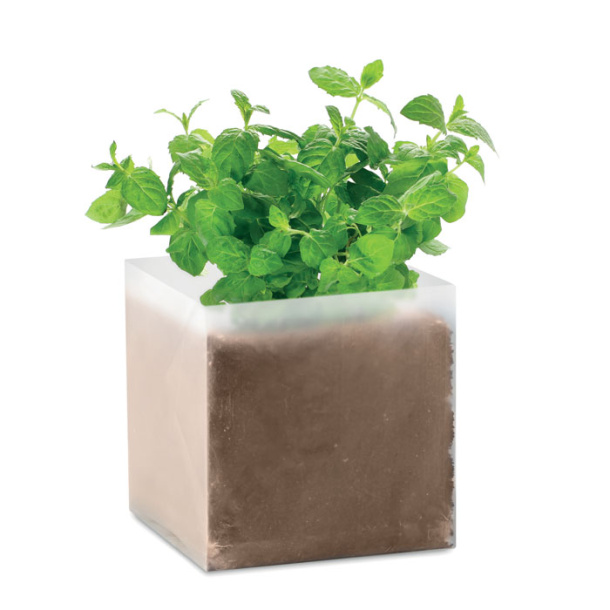 MINT Compost with seeds "MINT"