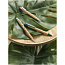 Celuk bamboo ballpoint pen - Unbranded