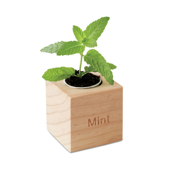 MENTA Herb pot wood "MINT"