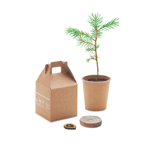 GROWTREE™ Pine tree set