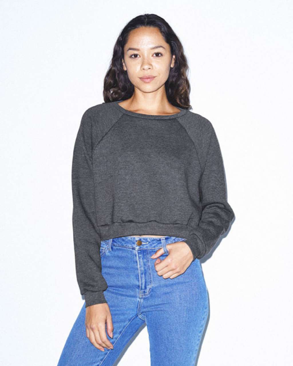 American apparel cropped sweatshirt sale