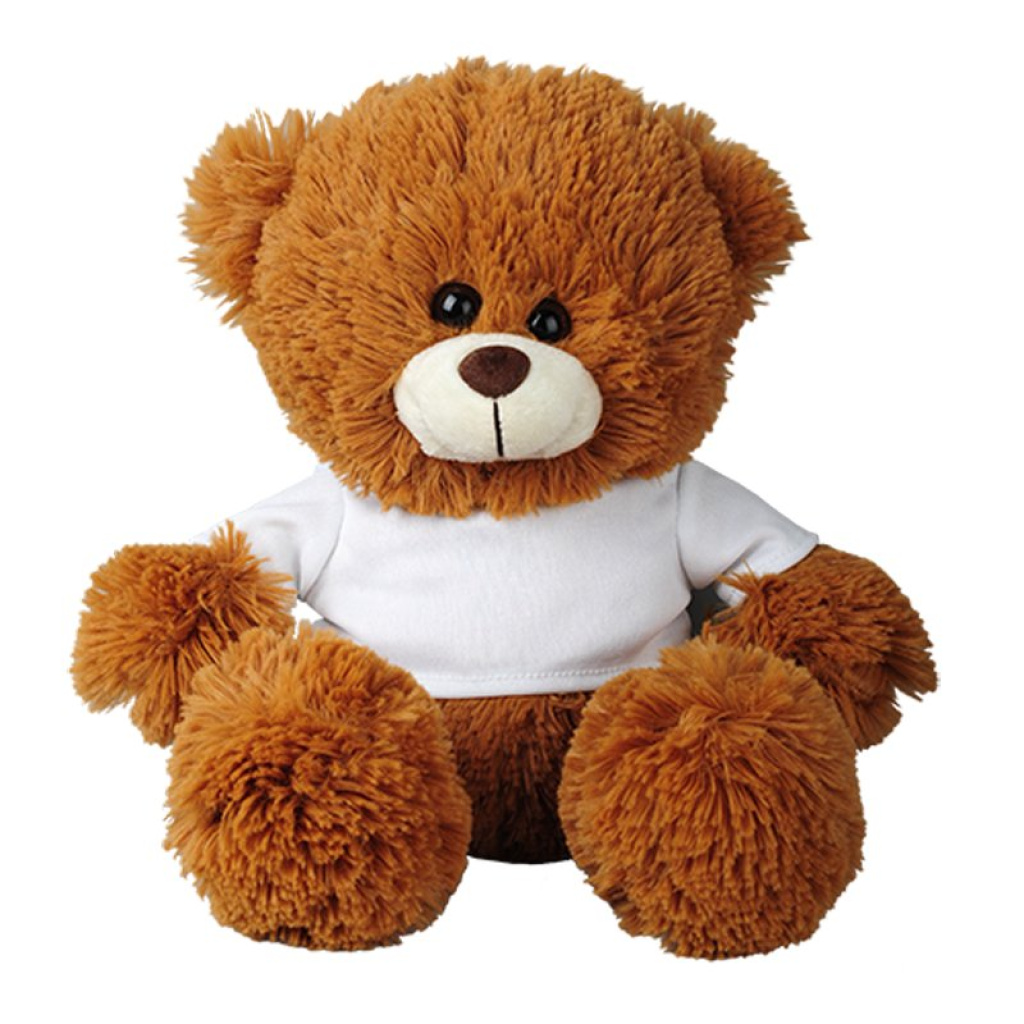Toy teddy shop