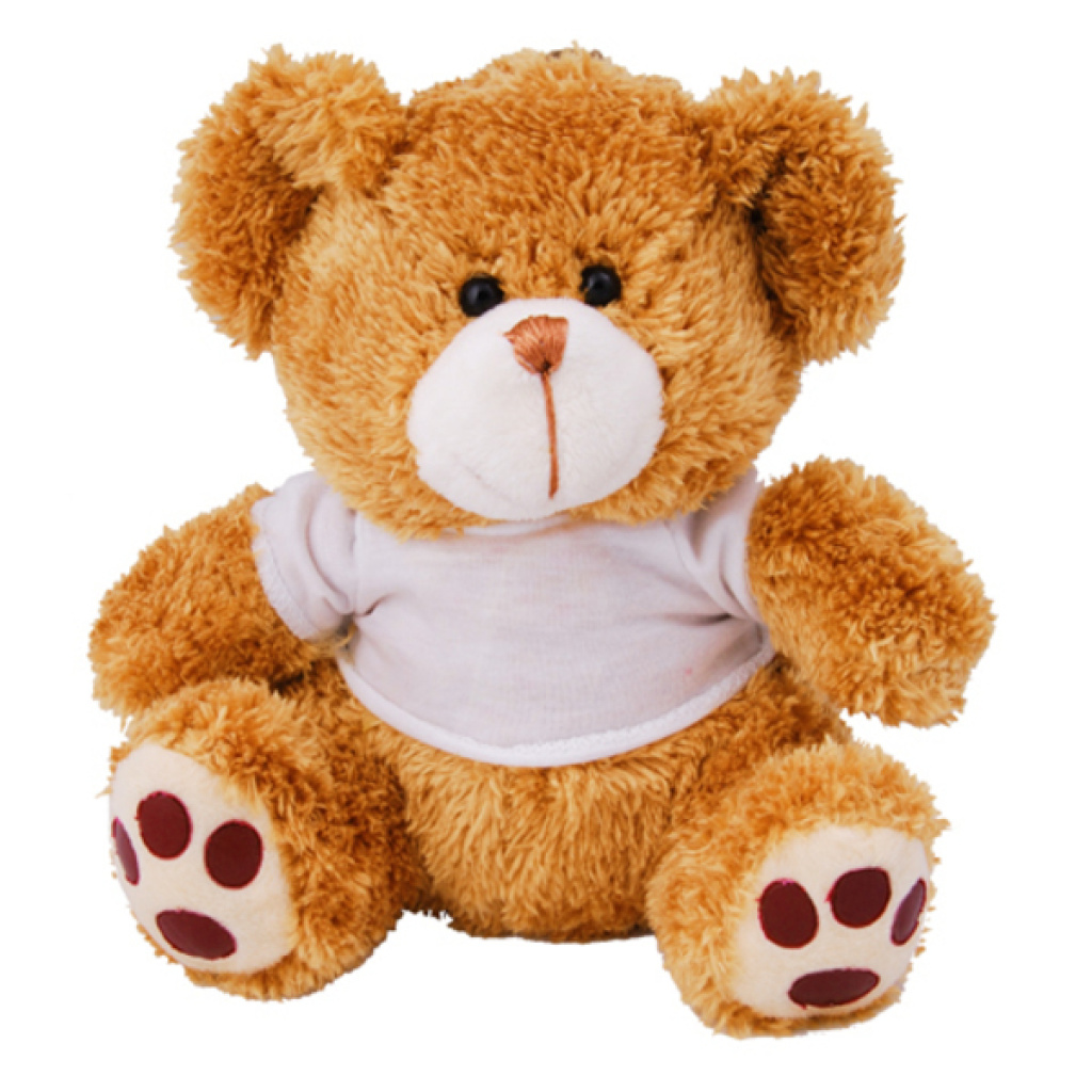 Toy teddy shop