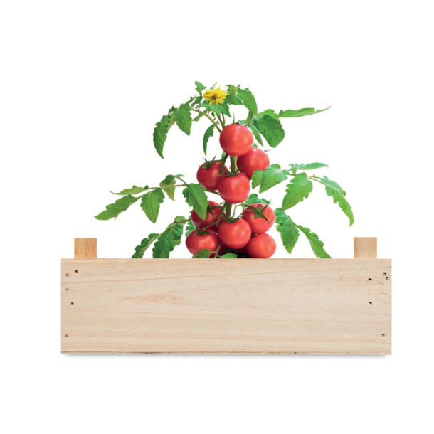 TOMATO Tomato kit in wooden crate