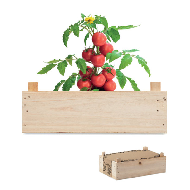 TOMATO Tomato kit in wooden crate