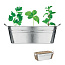 MIX SEEDS Zinc tub with 3 herbs seeds