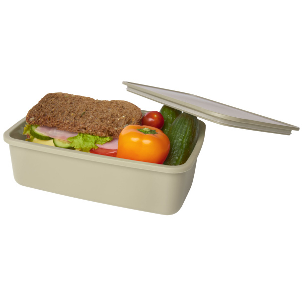 Dovi recycled plastic lunch box - Seasons