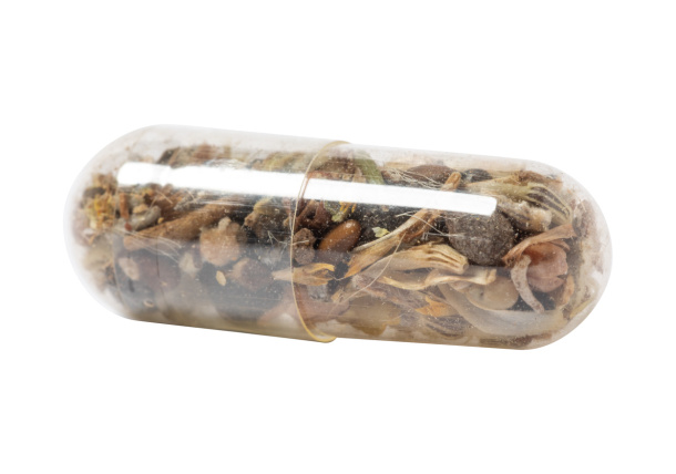 Biyok flower seed capsule