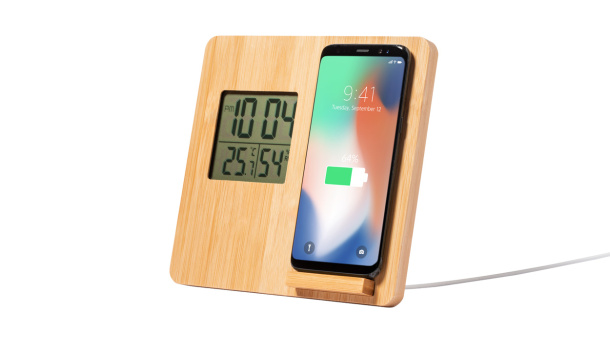 Fiory charger weather station