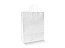 EKO Bijela papirnata vrećica s pletenom ručkom (veće dimenzije)