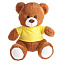 Josh Brown Plush teddy bear