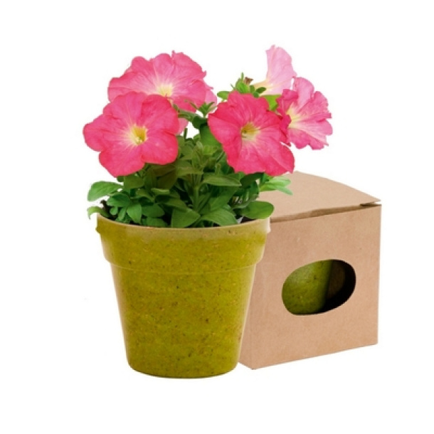  Flower pot, 5-8 petunia seeds and soil