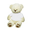 Albert Plush teddy bear
