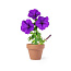  Flower pot, 5-8 petunia seeds and soil