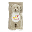 Phil Plush teddy bear with blanket