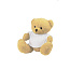 Nicky Honey Plush teddy bear