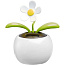  Flower pot