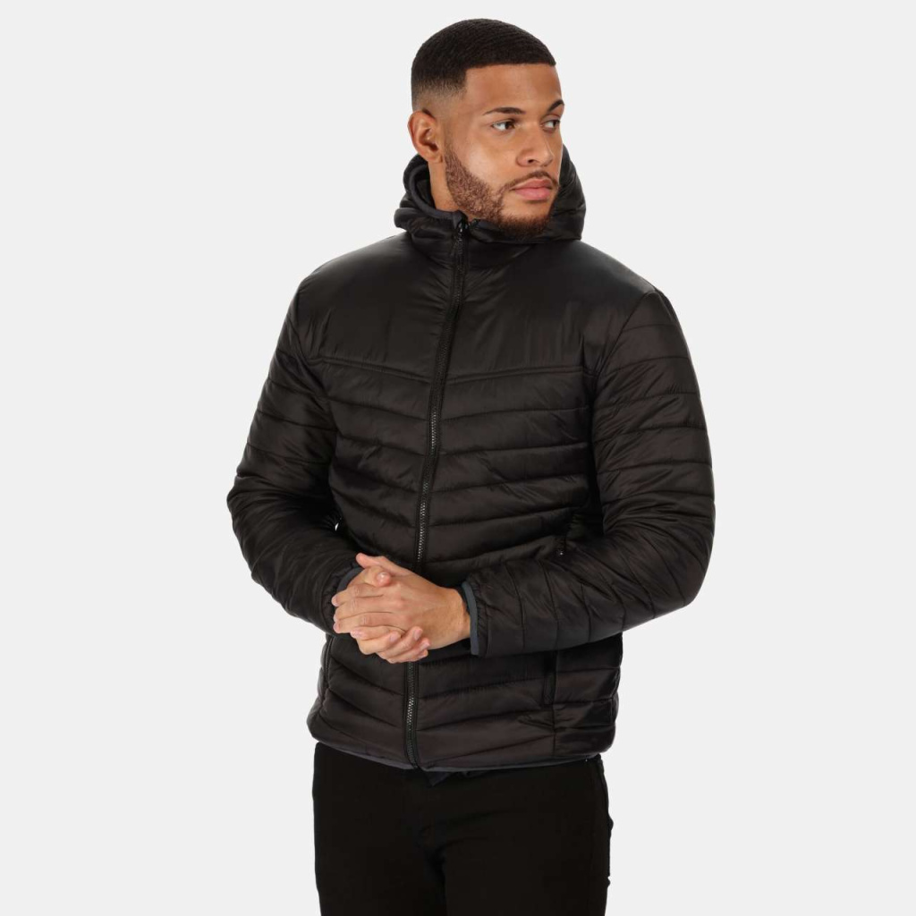 Regatta acadia new arrivals