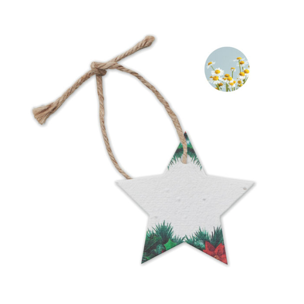 STARSEED Seed paper Xmas ornament