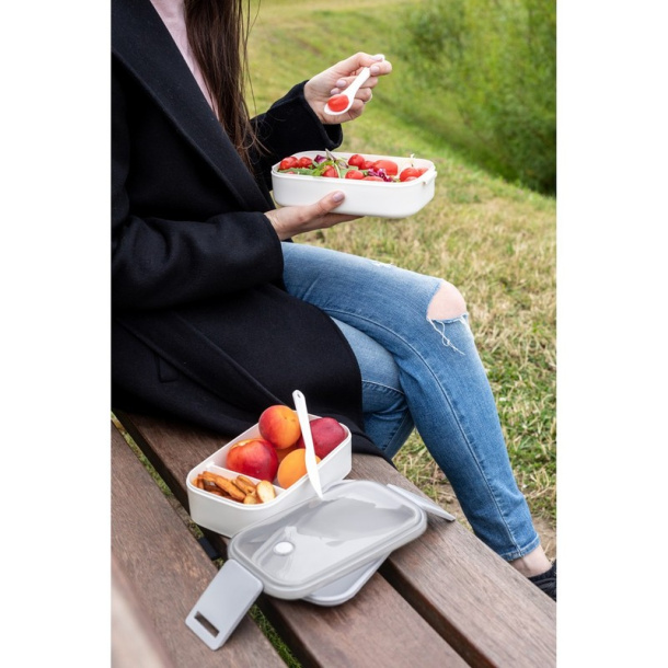  Lunch boxes 2 pcs, 2x700 ml, cutlery