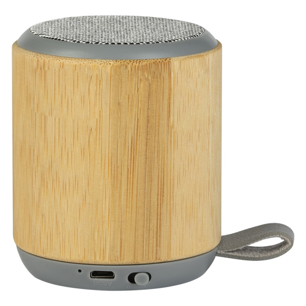 RIFF   Bluetooth speaker