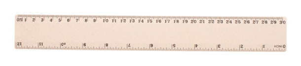 Whealer 30 ruler