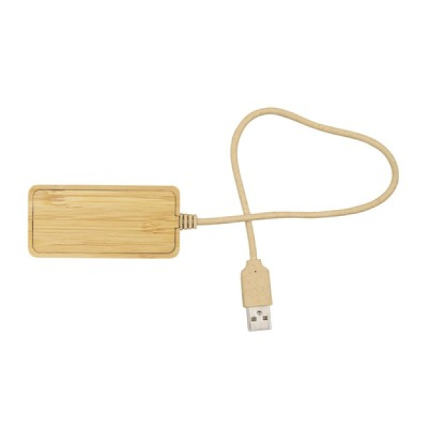 Kenzie Bamboo USB and USB type C hub B'RIGHT