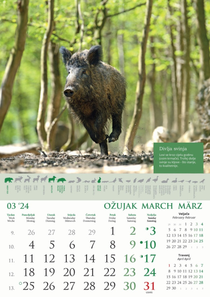  "KALENDAR LOVA" color calendar
