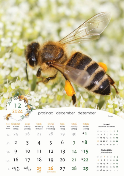  "PČELE" color calendar