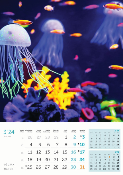  "IGRE BOJA" color calendar