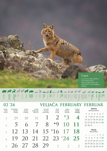  "KALENDAR LOVA" color calendar