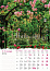  "VRTOVI" color kalendar