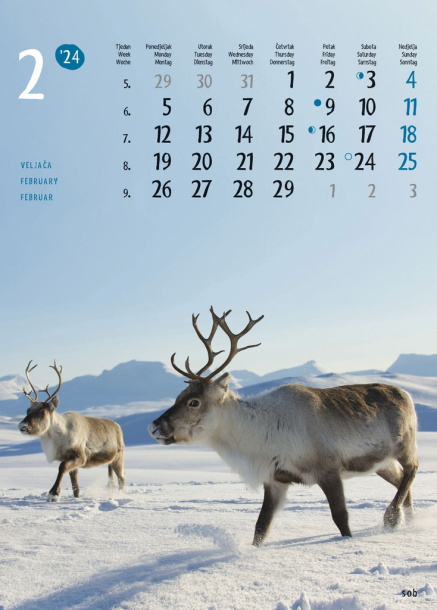  "ŽIVOTINJE" color calendar