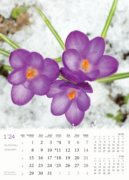  "CVIJEĆE" color kalendar