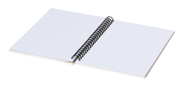 Hantiz notebook