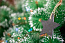 Vondix ukras za božićno drvce - božićno drvce