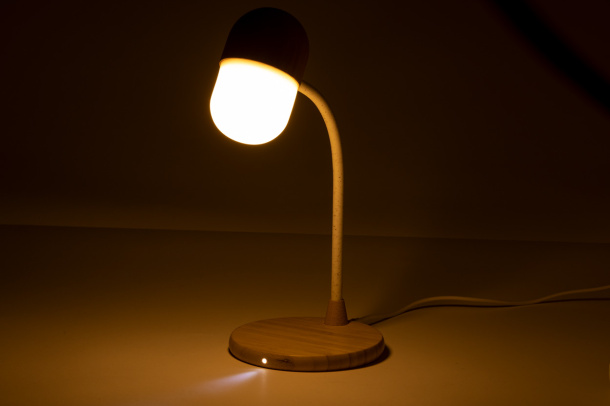 Lars multifunctional desk lamp
