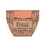 CRESS POT Terracotta pot cress seeds