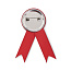 LAZO Ribbon style badge pin