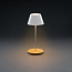  Pure Glow RCS usb-rechargeable recycled plastic table lamp