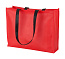 Tucson shopping bag