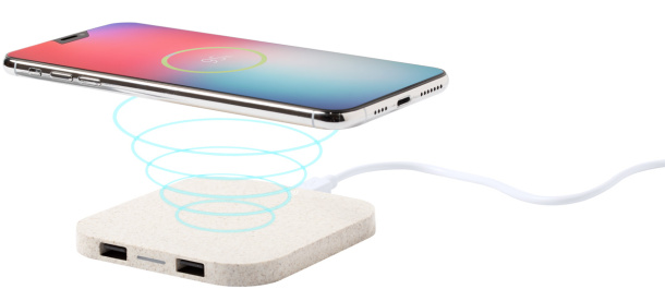 Riens wireless charger