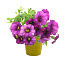 Petunia flower pot
